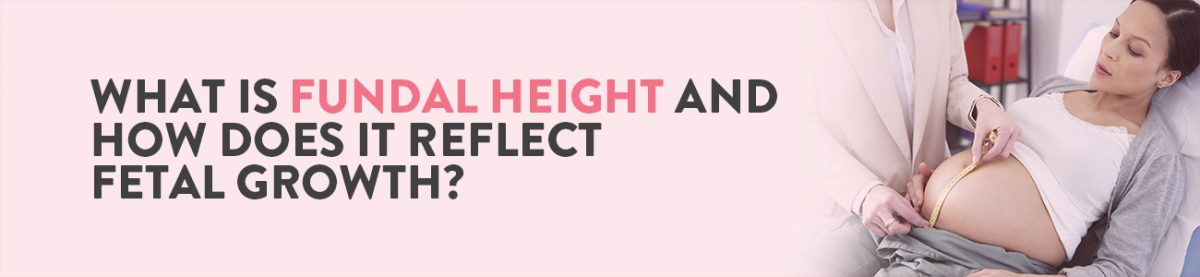 Fundal Height, Fundal Height in Pregnancy, Fundal Height measurement, Fundal Height Chart, Normal Fundal Height