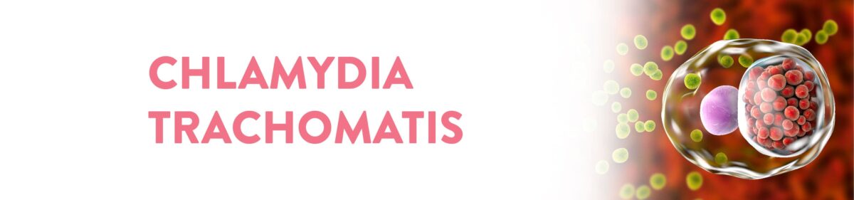 CHLAMYDIA TRACHOMATIS