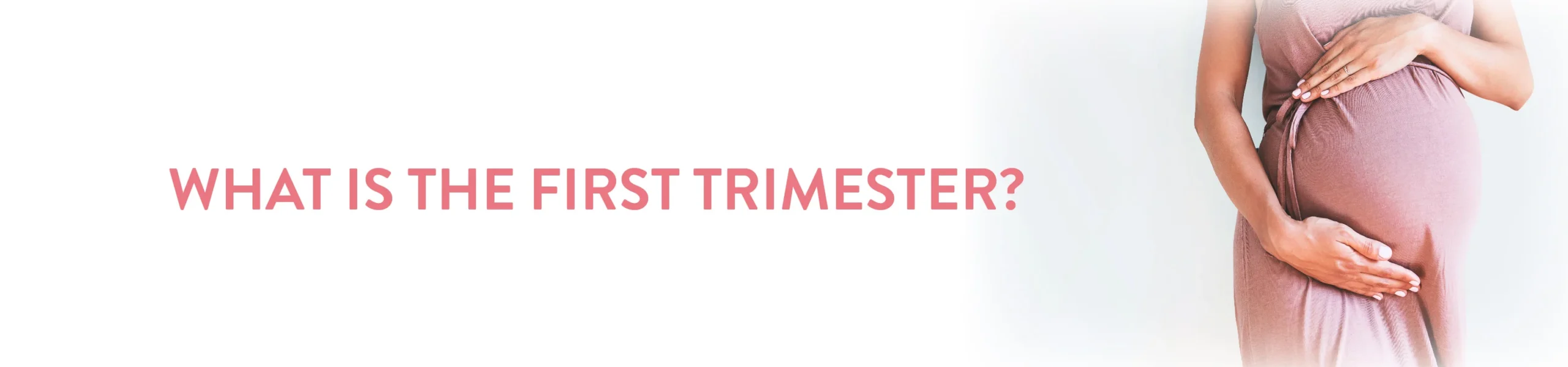 What is the first trimester
