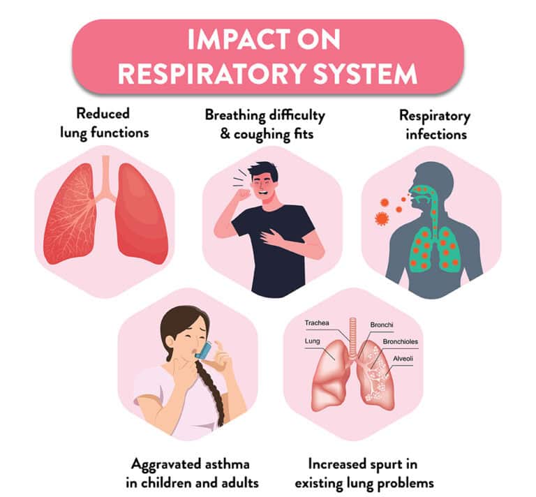 How to protect yourself from Air Pollution and reverse the effects CK