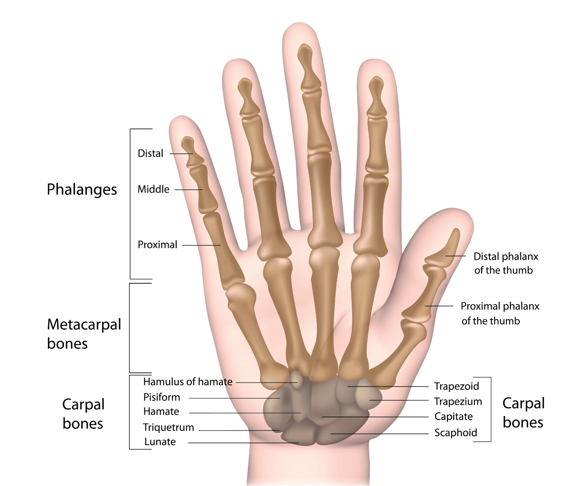 When is Wrist Pain Serious? CK Birla Hospital