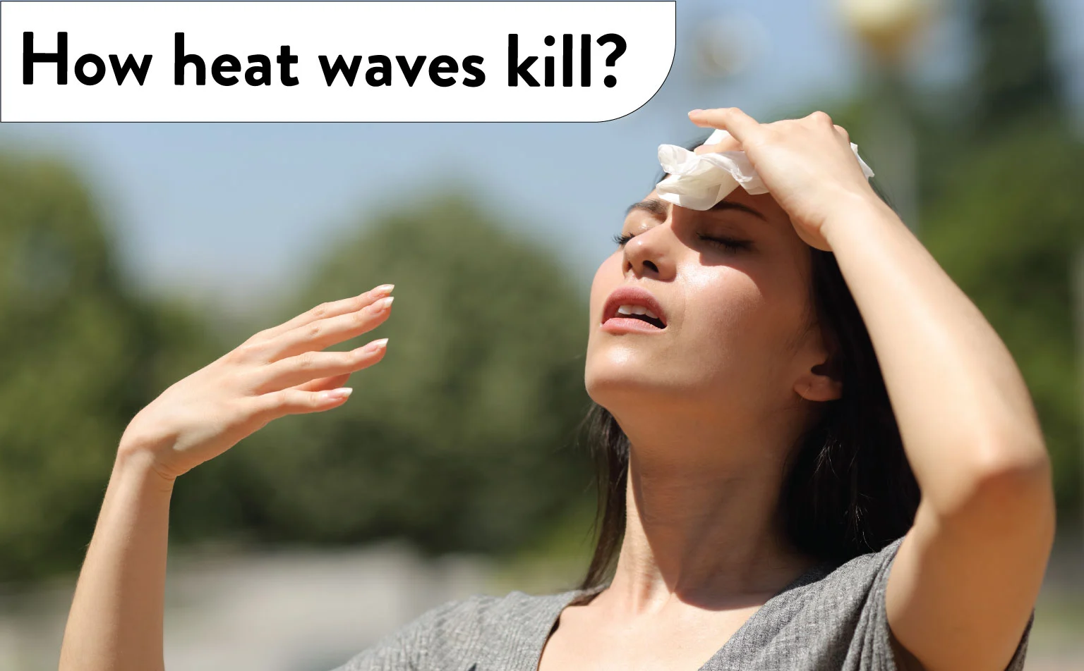 How-heat-waves-kill