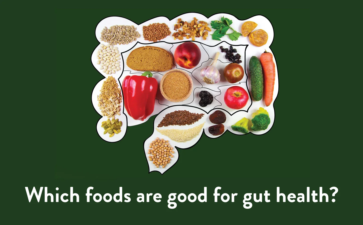 Which-foods-are-good-for-gut-health