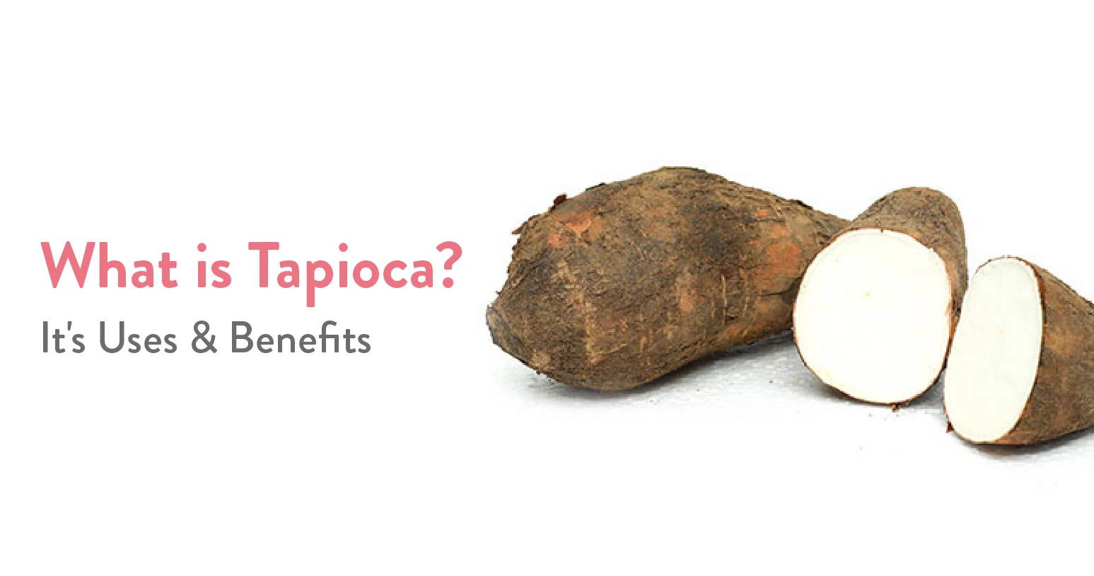 What Is Tapioca It's Uses & Benefits