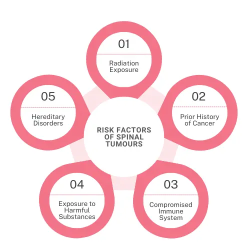 Risk factors of spinal tumors